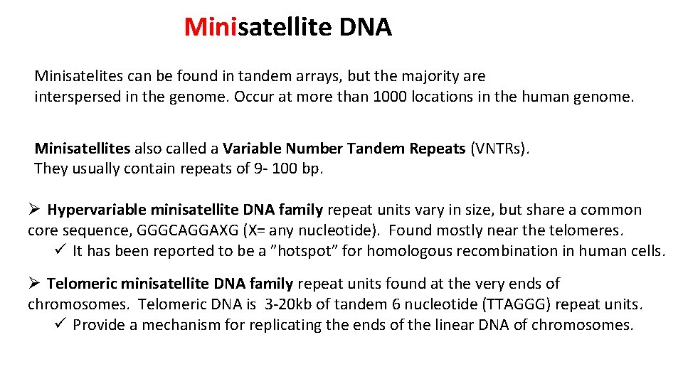 Minisatellite DNA Minisatelites can be found in tandem arrays, but the majority are interspersed