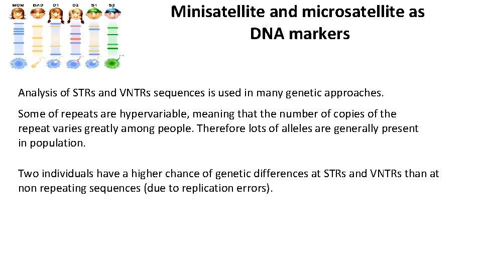 Minisatellite and microsatellite as DNA markers Analysis of STRs and VNTRs sequences is used