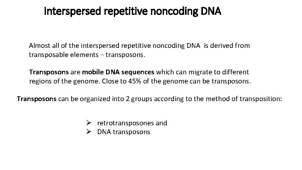 Interspersed repetitive noncoding DNA Almost all of the interspersed repetitive noncoding DNA is derived