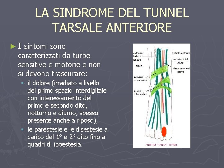 LA SINDROME DEL TUNNEL TARSALE ANTERIORE ► I sintomi sono caratterizzati da turbe sensitive
