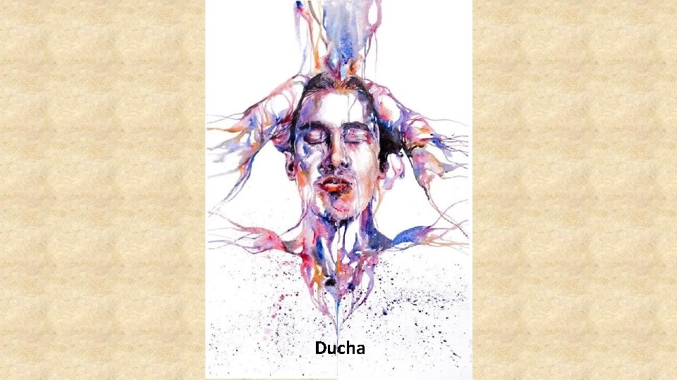 Ducha 