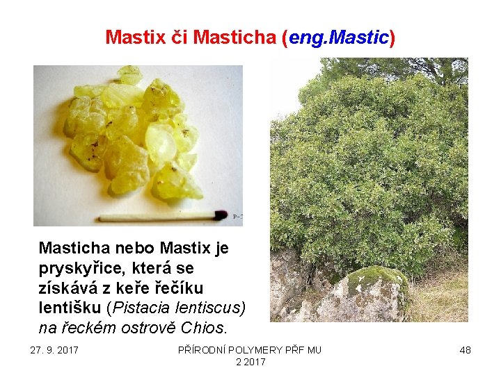 Mastix či Masticha (eng. Mastic) Masticha nebo Mastix je pryskyřice, která se získává z