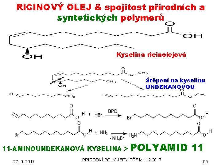 RICINOVÝ OLEJ & spojitost přírodních a syntetických polymerů Kyselina ricinolejová Štěpení na kyselinu UNDEKANOVOU