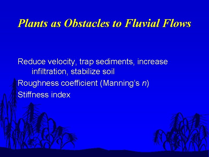 Plants as Obstacles to Fluvial Flows Reduce velocity, trap sediments, increase infiltration, stabilize soil