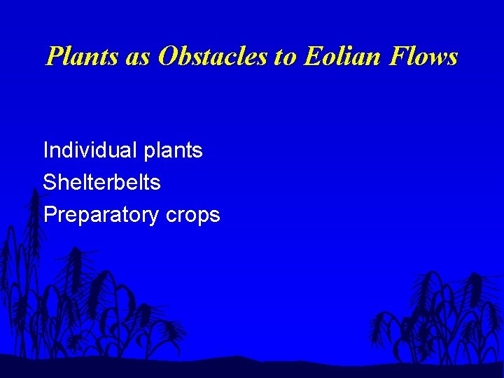 Plants as Obstacles to Eolian Flows Individual plants Shelterbelts Preparatory crops 