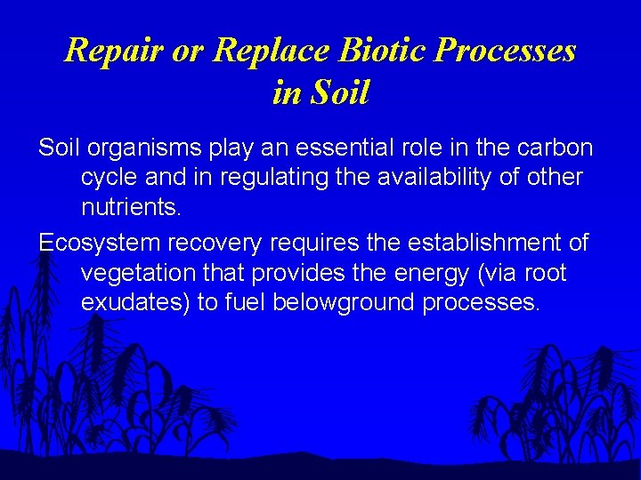 Repair or Replace Biotic Processes in Soil organisms play an essential role in the