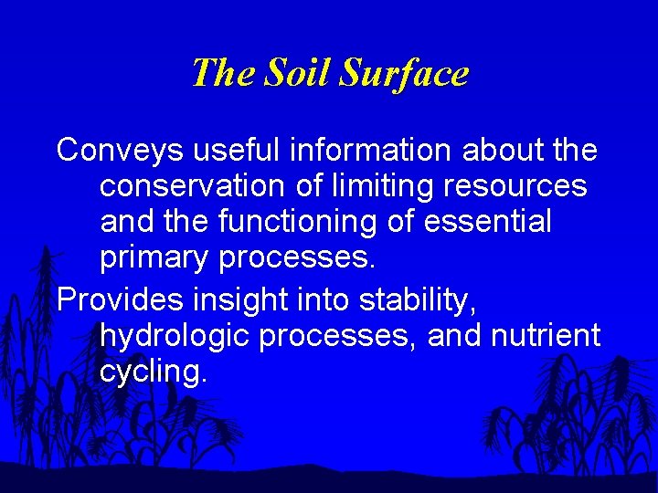 The Soil Surface Conveys useful information about the conservation of limiting resources and the