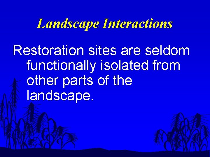 Landscape Interactions Restoration sites are seldom functionally isolated from other parts of the landscape.