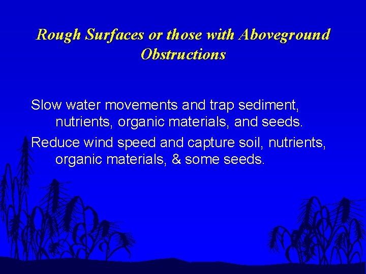 Rough Surfaces or those with Aboveground Obstructions Slow water movements and trap sediment, nutrients,