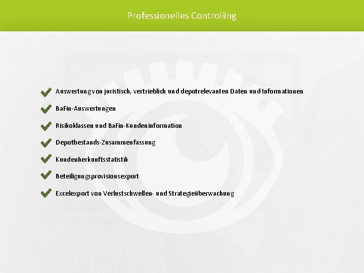 Professionelles Controlling Auswertung von juristisch, vertrieblich und depotrelevanten Daten und Informationen Ba. Fin-Auswertungen Risikoklassen