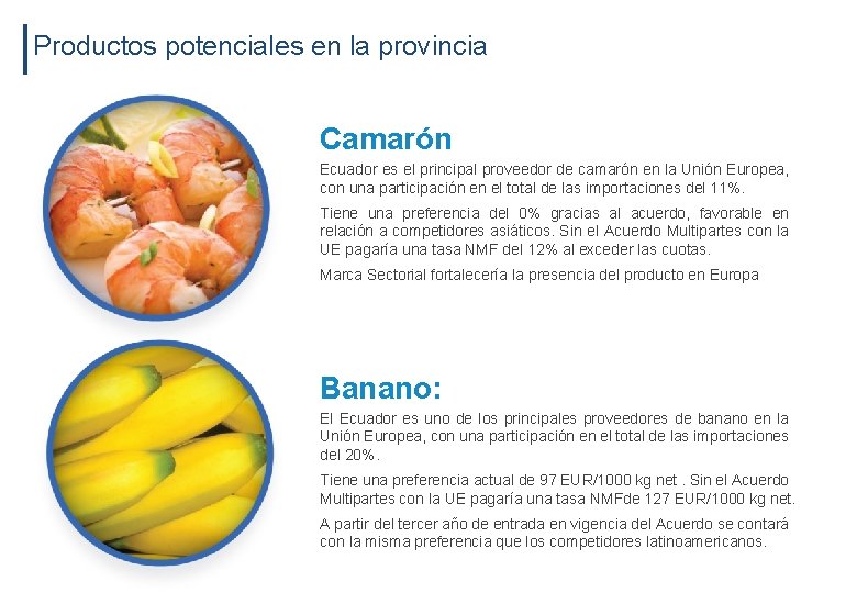 Productos potenciales en la provincia Camarón Ecuador es el principal proveedor de camarón en