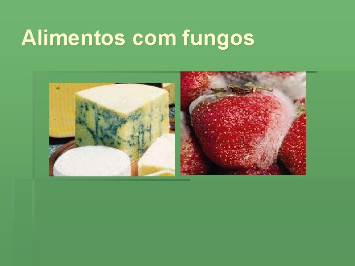 Alimentos com fungos 