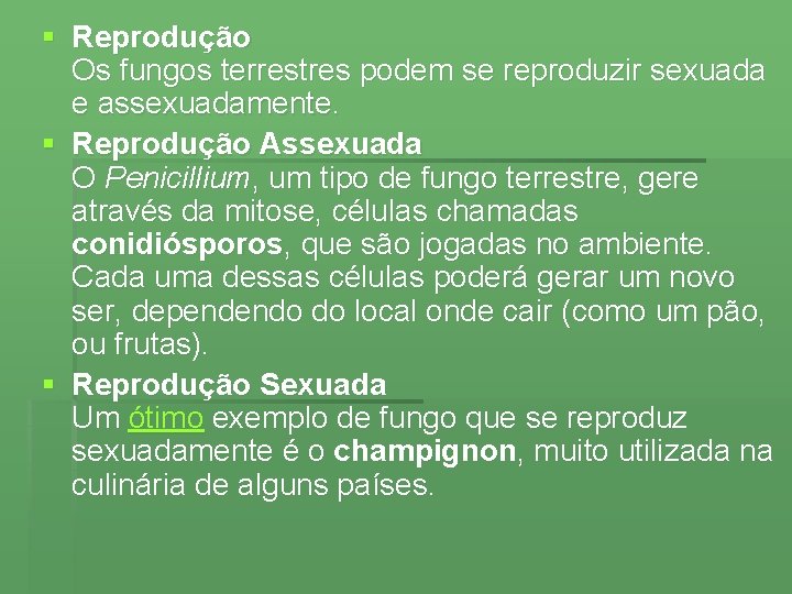 § Reprodução Os fungos terrestres podem se reproduzir sexuada e assexuadamente. § Reprodução Assexuada