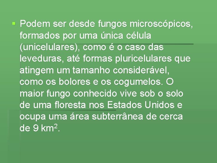 § Podem ser desde fungos microscópicos, formados por uma única célula (unicelulares), como é