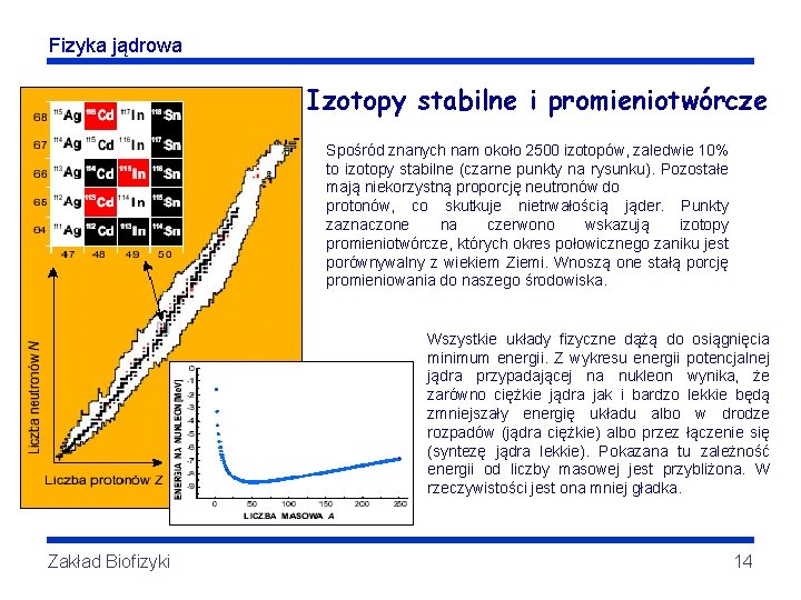 Fizyka jądrowa Izotopy stabilne i promieniotwórcze Spośród znanych nam około 2500 izotopów, zaledwie 10%