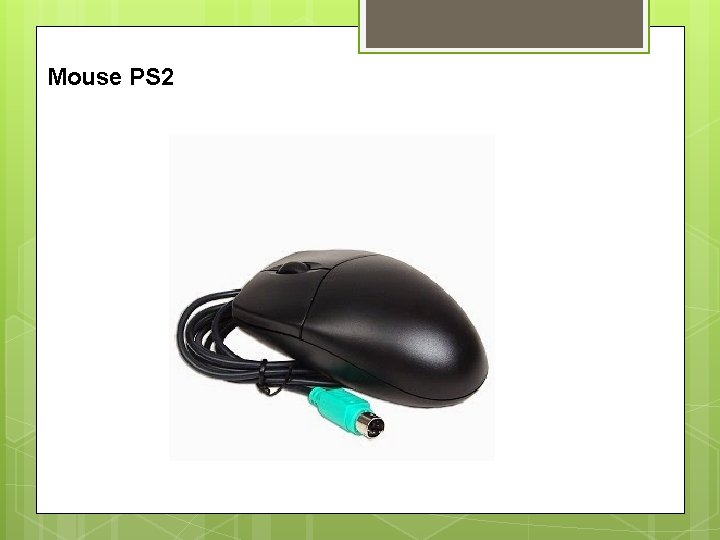 Mouse PS 2 