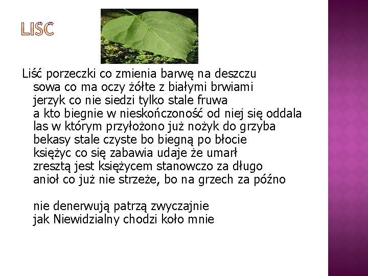 Liść porzeczki co zmienia barwę na deszczu sowa co ma oczy żółte z białymi Liść porzeczki co zmienia barwę na deszczu sowa co ma oczy żółte z białymi