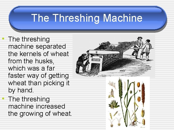 The Threshing Machine • The threshing • machine separated the kernels of wheat from