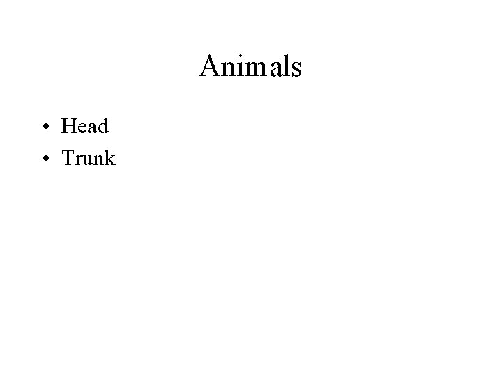 Animals • Head • Trunk 
