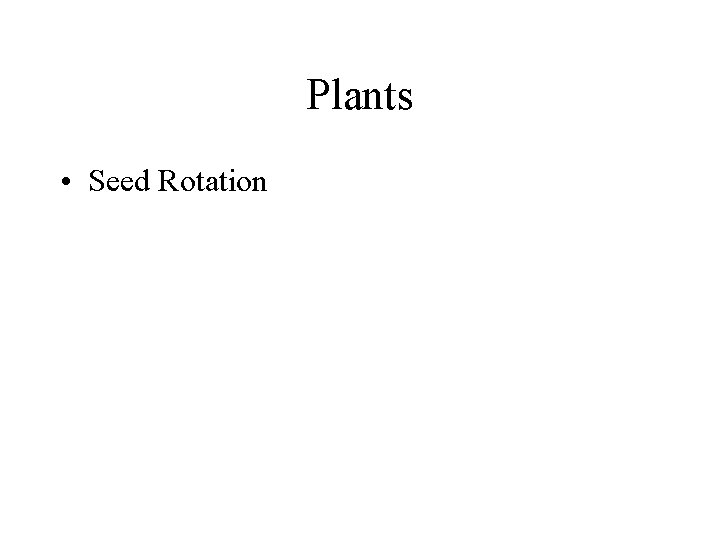 Plants • Seed Rotation 