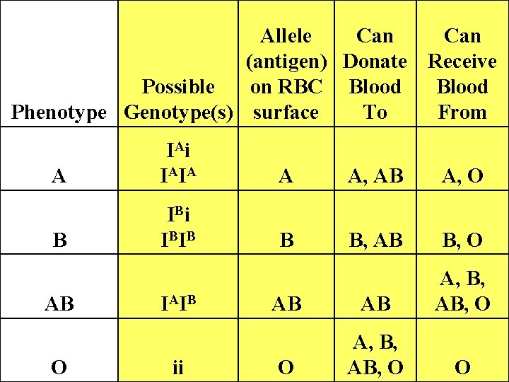 Allele Can (antigen) Donate Receive Possible on RBC Blood Phenotype Genotype(s) surface To From