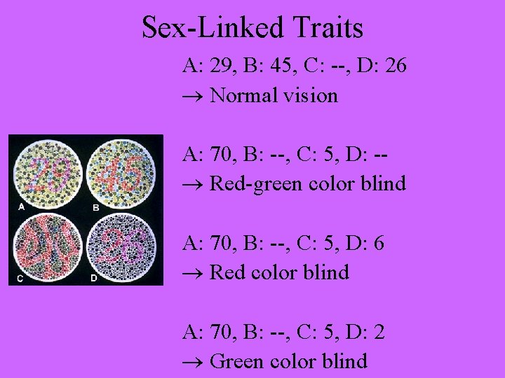 Sex-Linked Traits A: 29, B: 45, C: --, D: 26 Normal vision A: 70,