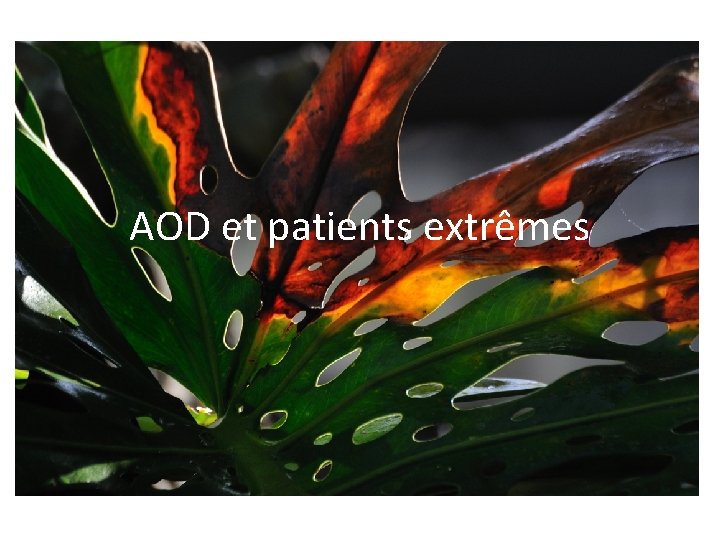AOD et patients extrêmes 