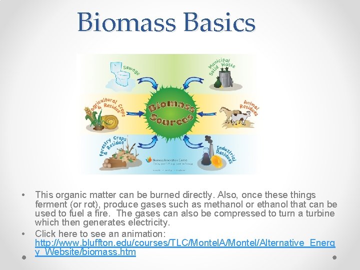 Biomass Basics • • This organic matter can be burned directly. Also, once these