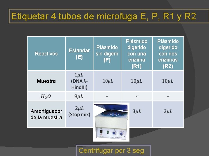 Etiquetar 4 tubos de microfuga E, P, R 1 y R 2 Reactivos Estándar