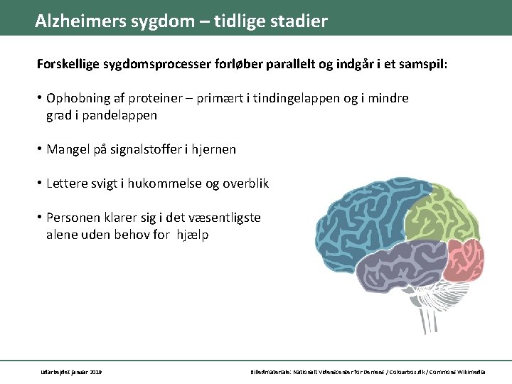 Alzheimers sygdom – tidlige stadier Forskellige sygdomsprocesser forløber parallelt og indgår i et samspil: