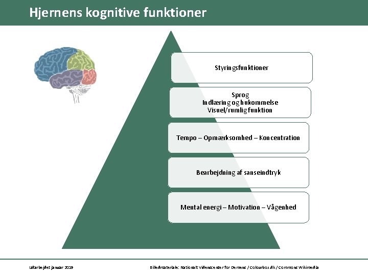 Hjernens kognitive funktioner Styringsfunktioner Sprog Indlæring og hukommelse Visuel/rumlig funktion Tempo – Opmærksomhed –