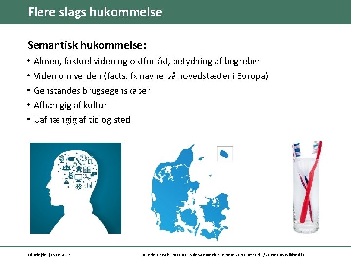 Flere slags hukommelse Semantisk hukommelse: • • • Almen, faktuel viden og ordforråd, betydning