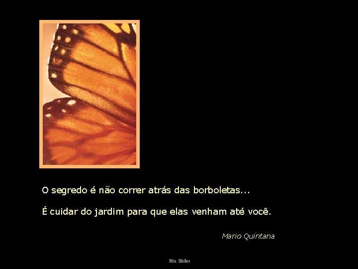 O segredo é não correr atrás das borboletas. . . É cuidar do jardim O segredo é não correr atrás das borboletas. . . É cuidar do jardim