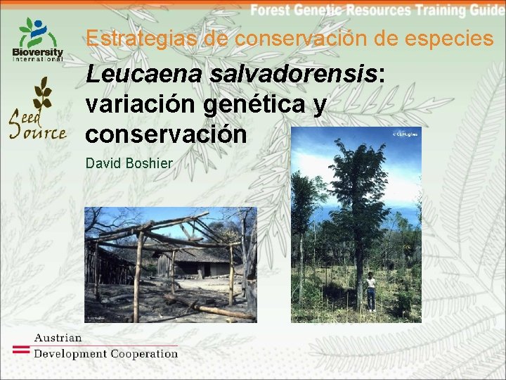Estrategias de conservación de especies Leucaena salvadorensis: variación genética y conservación David Boshier 