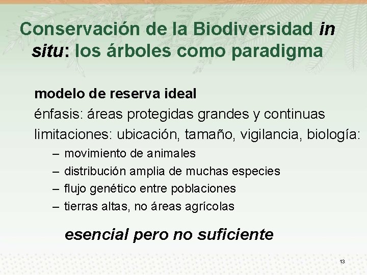 Conservación de la Biodiversidad in situ: los árboles como paradigma modelo de reserva ideal