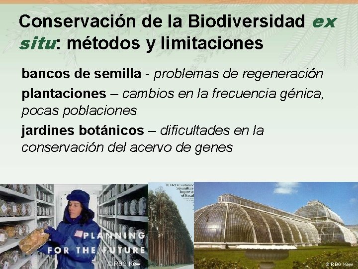 Conservación de la Biodiversidad ex situ: métodos y limitaciones bancos de semilla - problemas