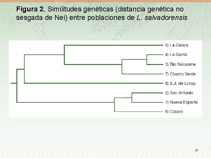 Figura 2. Similitudes genéticas (distancia genética no sesgada de Nei) entre poblaciones de L.