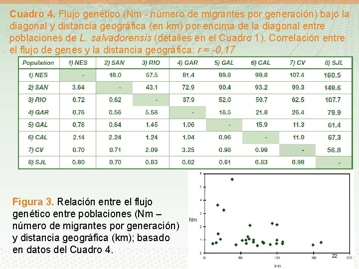 Cuadro 4. Flujo genético (Nm - número de migrantes por generación) bajo la diagonal