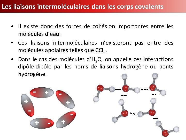 Les liaisons intermoléculaires dans les corps covalents + - - + • Il existe