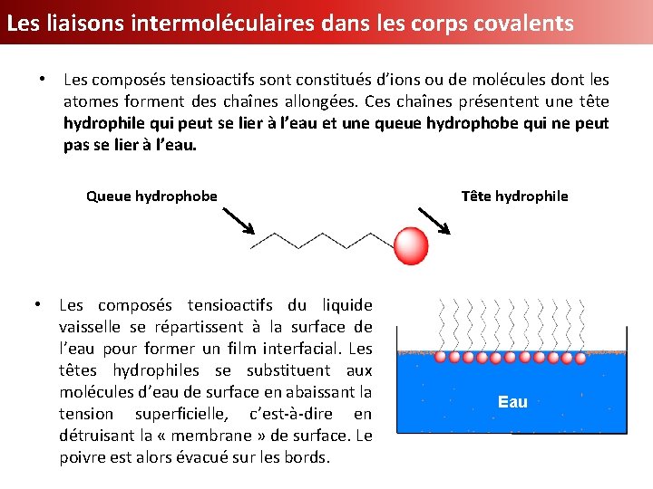 Les liaisons intermoléculaires dans les corps covalents • Les composés tensioactifs sont constitués d’ions