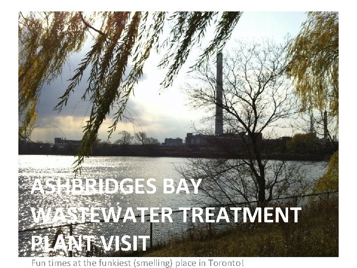 ASHBRIDGES BAY WASTEWATER TREATMENT PLANT VISIT Fun times at the funkiest (smelling) place in