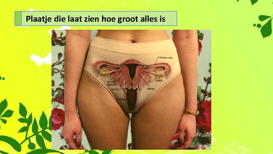 Plaatje die laat zien hoe groot alles is 