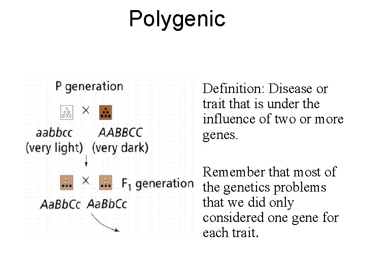 Polygenic • Definition: Disease or trait that is under the influence of two or