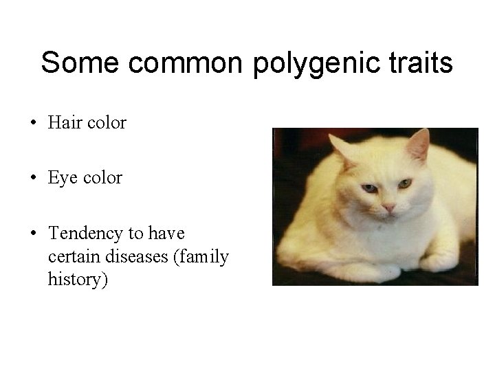 Some common polygenic traits • Hair color • Eye color • Tendency to have