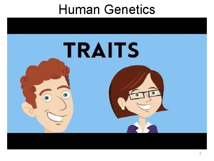 Human Genetics 2 