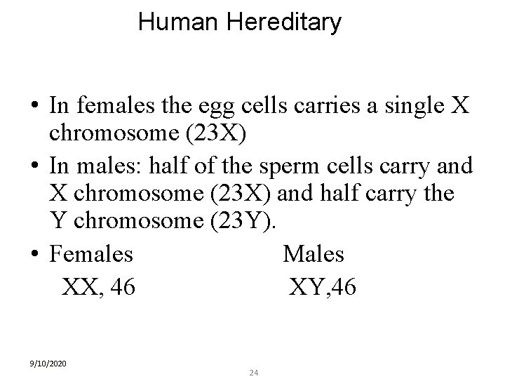 Human Hereditary • In females the egg cells carries a single X chromosome (23