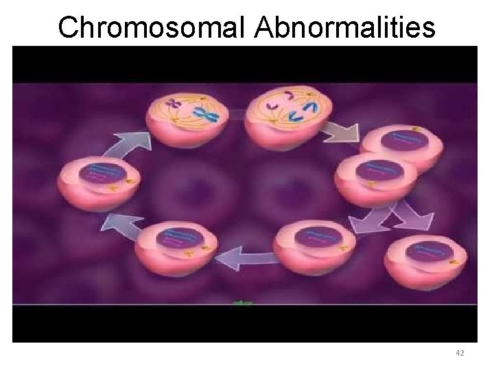 Chromosomal Abnormalities 42 