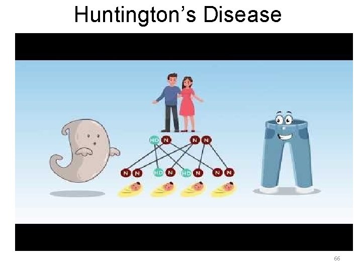 Huntington’s Disease 66 