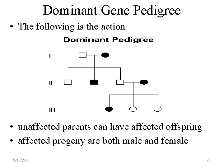 Dominant Gene Pedigree • The following is the action • unaffected parents can have