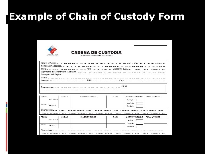 Example of Chain of Custody Form 